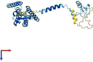 AlphaFold protein structure predicition of Human Recombinant PEX2 Protein, UniprotID P28328