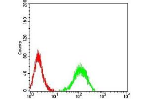 Flow cytometric analysis of HL-60 cells using CD156 mouse mAb (green) and negative control (red).