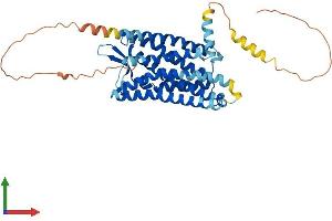 AlphaFold protein structure predicition of Human Recombinant SSTR1 Protein, UniprotID P30872
