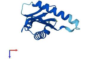 AlphaFold protein structure predicition of Mouse Recombinant Lamtor2 Protein, UniprotID Q9JHS3