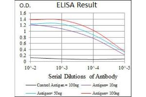 ELISA image for anti-Heat Shock Transcription Factor 4 (HSF4) antibody (ABIN1843863) (HSF4 anticorps)