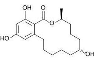 Antigen structure: Zearalenone (ZON) (Zearalenone anticorps)