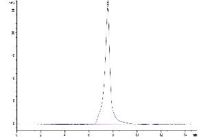 The purity of Mouse EFNA3 is greater than 95 % as determined by SEC-HPLC. (Ephrin A3 Protein (EFNA3) (AA 23-206) (Fc Tag))