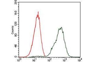 Flow cytometric analysis of Jurkat cells using PDX1 mouse mAb (green) and negative control (red).
