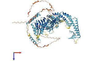 AlphaFold protein structure predicition of Human Recombinant MSH4 Protein, UniprotID O15457