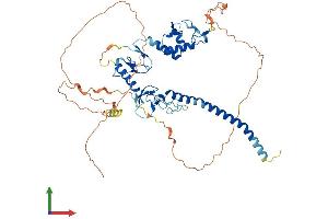 AlphaFold protein structure predicition of Mouse Recombinant Rnf217 Protein, UniprotID D3YYI7