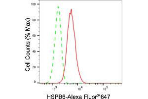 Flow cytometric analysis of HSPB6 expression in H9c2 cells using HSPB6 antibody (ABIN7798877), 1:2,000).