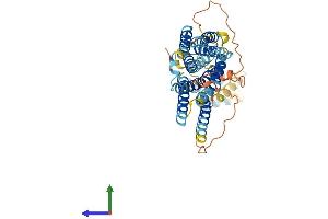 AlphaFold protein structure predicition of Human Recombinant SLC39A8 Protein, UniprotID Q9C0K1