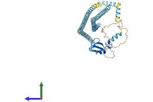 AlphaFold protein structure predicition of Human Recombinant RNF26 Protein, UniprotID Q9BY78