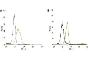 Cell surface detection of Orai1 in intact human  HL-60 acute promyelocytic leukemia cells (A) and human Jurkat T-cell leukemia cells (B).