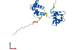 AlphaFold protein structure predicition of Human Recombinant MYL12B Protein, UniprotID O14950