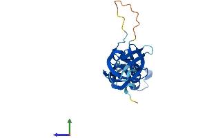 AlphaFold protein structure predicition of Human Recombinant POLR3H Protein, UniprotID Q9Y535