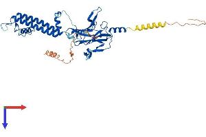 AlphaFold protein structure predicition of Mouse Recombinant Kcnj6 Protein, UniprotID P48542