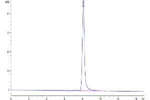 The purity of Human TSPAN8 is greater than 95 % as determined by SEC-HPLC.
