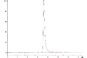 The purity of Human CD31 is greater than 95 % as determined by SEC-HPLC.