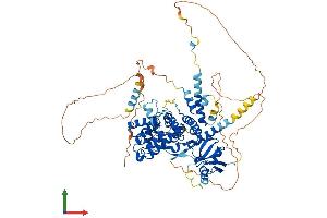 AlphaFold protein structure predicition of Mouse Recombinant Arhgap28 Protein, UniprotID Q8BN58