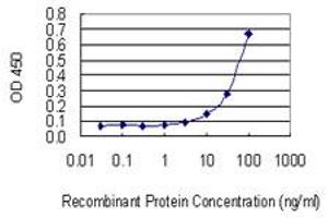 Detection limit for recombinant GST tagged NETO2 is 3 ng/ml as a capture antibody.