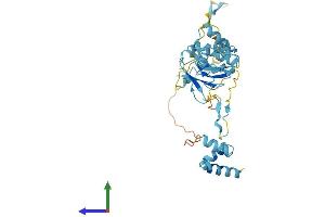 AlphaFold protein structure predicition of Human Recombinant NSFL1C Protein, UniprotID Q9UNZ2