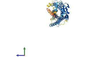 AlphaFold protein structure predicition of Human Recombinant CXCR5 Protein, UniprotID P32302