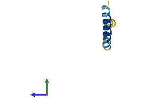 AlphaFold protein structure predicition of Mouse Recombinant Lenep Protein, UniprotID Q9WVB6