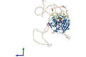 AlphaFold protein structure predicition of Human Recombinant FBXO42 Protein, UniprotID Q6P3S6