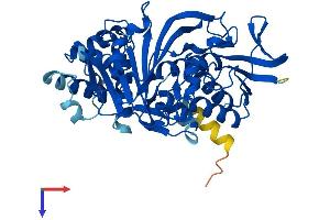 GDP Dissociation Inhibitor 1 (GDI1) (AA 1-447) protein (His tag)