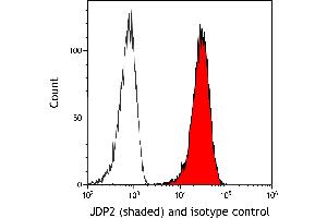 Flow Cytometry (FACS) image for anti-Jun Dimerization Protein 2 (JDP2) (AA 50-100) antibody (ABIN7795635) (Recombinant JDP2 anticorps  (AA 50-100))
