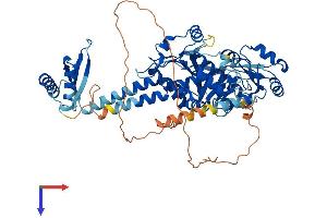 AlphaFold protein structure predicition of Human Recombinant PARN Protein, UniprotID O95453