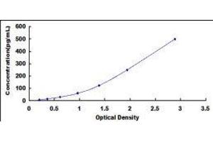 Melanoma Inhibitory Activity (MIA) ELISA Kit