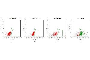 FACS analysis of CB1 MNPs A.