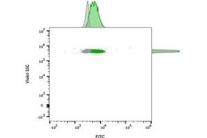Flow cytometric analysis of bead-bound exosomes derived from MCF-7 cells.
