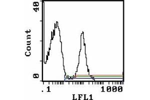 Flow Cytometry (FACS) image for anti-Lymphocyte Antigen 76 (Ly76) antibody (Biotin) (ABIN955146) (Ly76 anticorps  (Biotin))