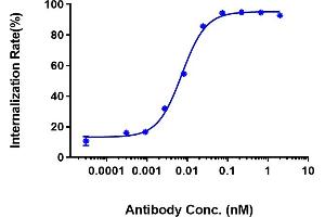 Anti- Human CDH17( 10C12) inhibited the tumor growth of COLO205 on nude mice.