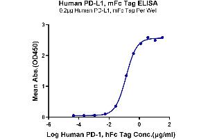 Immobilized Human PD-L1, mFc Tag at 2 μg/mL (100 μL/Well) on the plate.