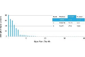 Protein Array (PAr) image for anti-Cholinergic Receptor, Nicotinic, alpha 6 (CHRNA6) antibody (ABIN7456066)