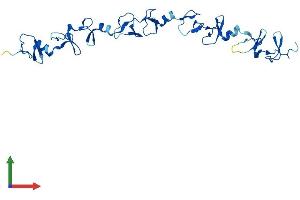 AlphaFold protein structure predicition of Mouse Recombinant Fhl2 Protein, UniprotID O70433