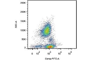 Surface staining of human peripheral blood cells with anti-human CD162 (clone TC2).
