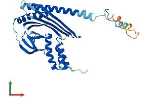 AlphaFold protein structure predicition of Human Recombinant CAPZA3 Protein, UniprotID Q96KX2