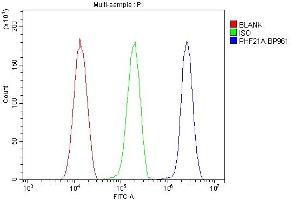 Flow Cytometry analysis of HeLa cells using anti-PHF21A antibody (ABIN6719353). (PHF21A anticorps  (AA 1-97))