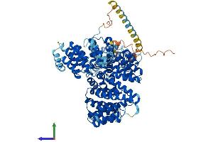AlphaFold protein structure predicition of Mouse Recombinant Naa16 Protein, UniprotID Q9DBB4