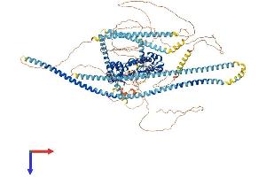 AlphaFold protein structure predicition of Human Recombinant PPFIA4 Protein, UniprotID O75335