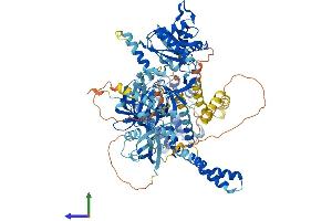 AlphaFold protein structure predicition of Human Recombinant CASK Protein, UniprotID O14936