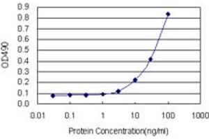 Sandwich ELISA detection sensitivity ranging from 3 ng/mL to 100 ng/mL. (SFTPC (Humain) Matched Antibody Pair)