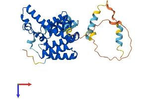 AlphaFold protein structure predicition of Mouse Recombinant Rhbdd1 Protein, UniprotID Q8BHC7