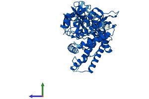 AlphaFold protein structure predicition of Human Recombinant CYP2J2 Protein, UniprotID P51589