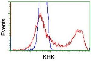 HEK293T cells transfected with either RC202424 overexpress plasmid (Red) or empty vector control plasmid (Blue) were immunostained by anti-KHK antibody (ABIN2453195), and then analyzed by flow cytometry. (Ketohexokinase anticorps)