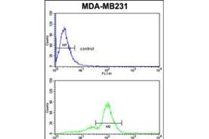 Flow cytometric analysis of MDA-MB231 cells (bottom histogram) compared to a negative control cell (top histogram).