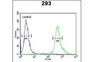 TP73 Antibody (Center) (ABIN652829 and ABIN2842541) flow cytometric analysis of 293 cells (right histogram) compared to a negative control cell (left histogram). (Tumor Protein p73 anticorps  (AA 288-317))