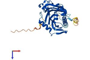 AlphaFold protein structure predicition of Human Recombinant STARD10 Protein, UniprotID Q9Y365