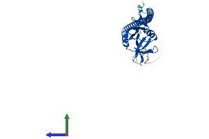 AlphaFold protein structure predicition of Mouse Recombinant Clec1a Protein, UniprotID Q8BWY2